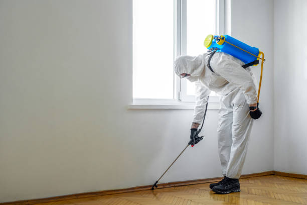 Best Local Pest Control Services  in Coalville, UT