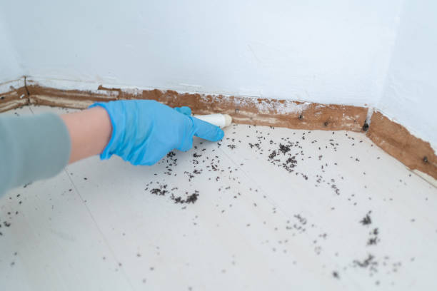 Best Best Pest Control Companies  in Coalville, UT